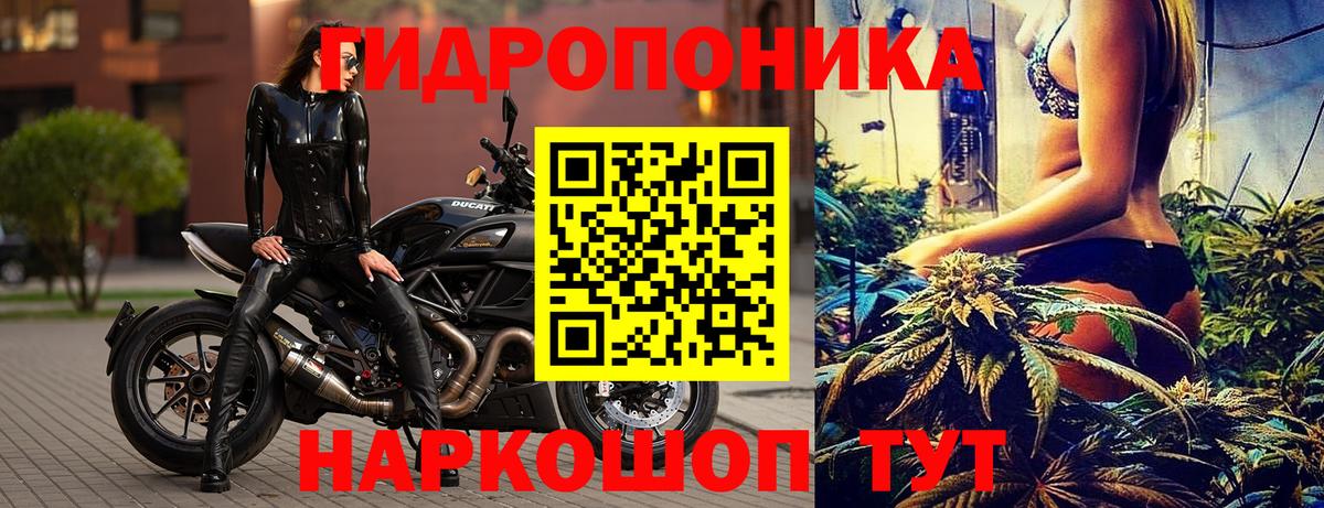 Каннабис Amnesia  Конопля марихуана  Вход с VPN  Марихуана конопля  Бошки Шишки марихуана  Реутов 